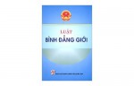 Phổ biến, cập nhật thông tin về pháp luật, chính sách về bình đẳng giới ít nhất 02 cuộc trong năm