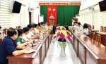 Phó Chánh Thanh tra tỉnh, Trưởng Đoàn thanh tra Lê Thị Hồng Vân phát biểu chỉ đạo tại cuộc họp công bố Quyết định thanh tra